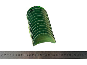Вкладыши шатунные Р2 ЯМЗ-536 (0,25 mm D-шейки 75,75 mm) (MR)